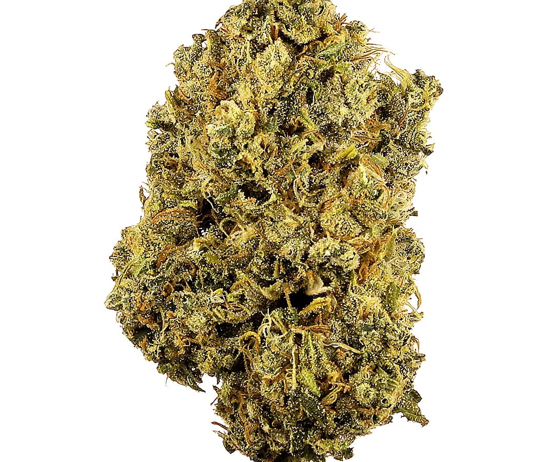 Durban Poison — 1g