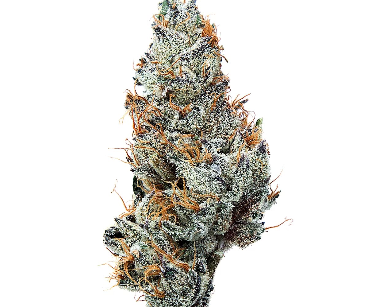 Grape Ape — 1g