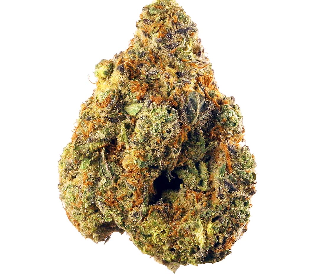 Hindu Kush — 1g
