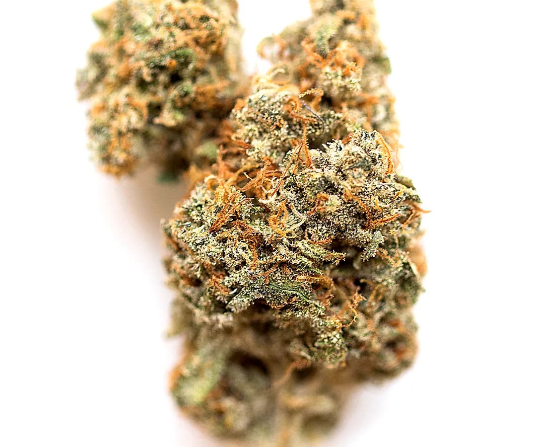Lava Cake — 1g