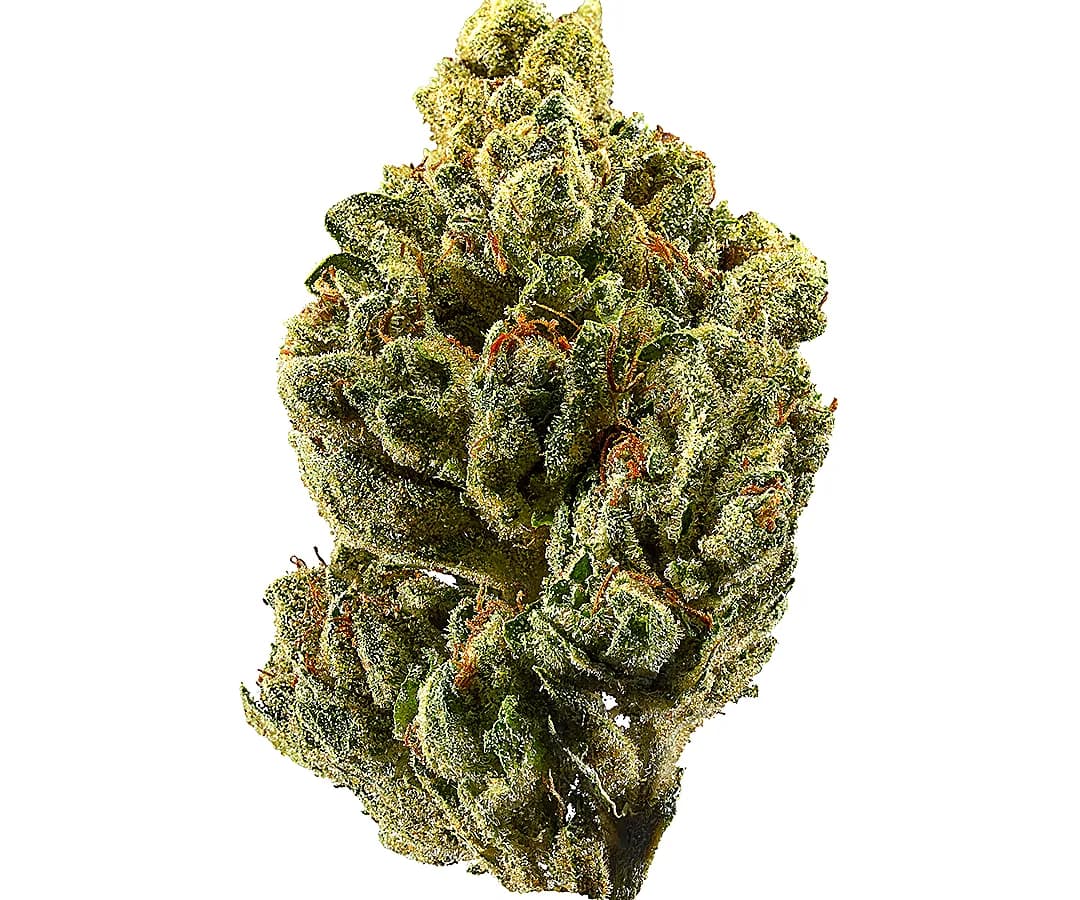 OG Kush — 1g