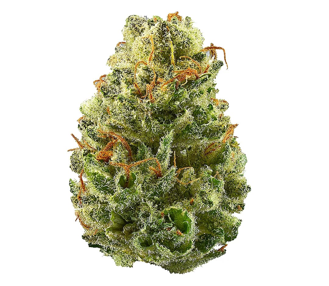 Strawberry Cough — 1g