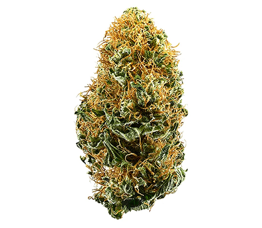 White Widow — 1g